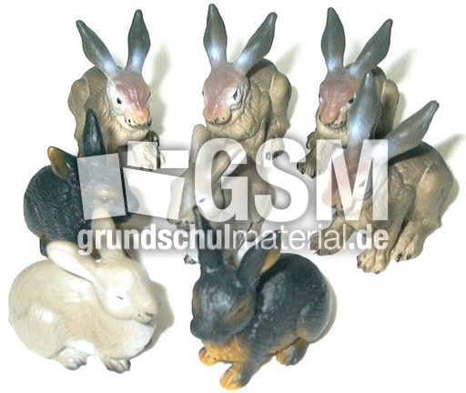 Hasen-8.jpg